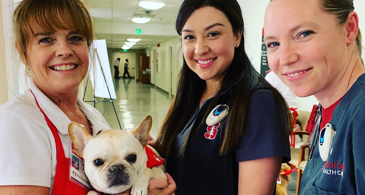 Cuddles-for-Caregivers – certified PAWS therapy dogs provided for staff