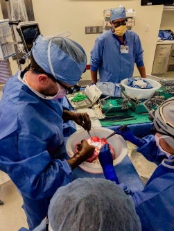 Brandon Guenthart, MD inspecting a donor heart prior to transplantation